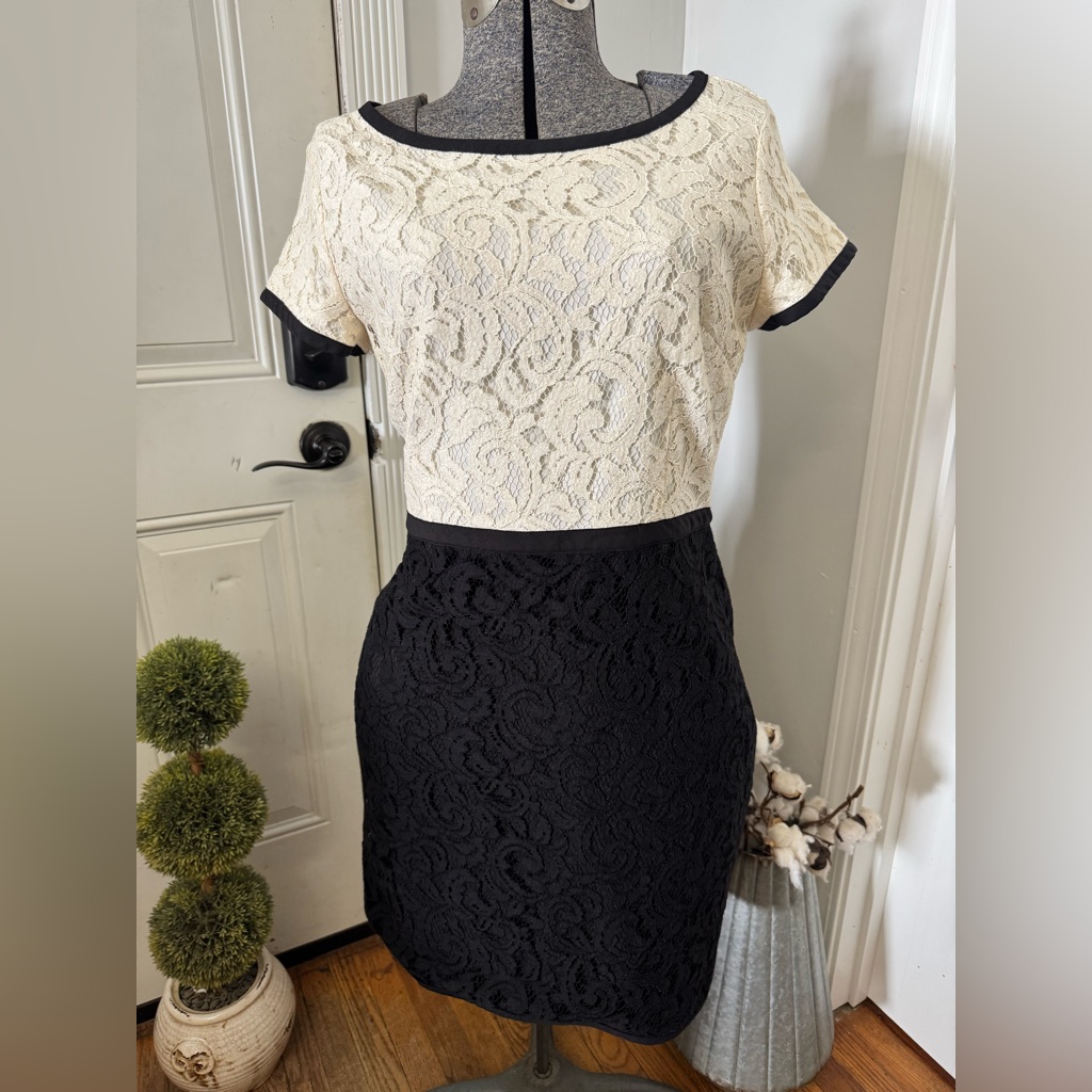 Ann Taylor Petite Black & Cream Lace Pencil Skirt Dress 14p